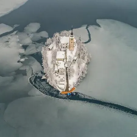 Apartma Pokljuska Idila - Idyllic Pokljuka Above