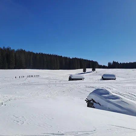 公寓 Apartma Pokljuska Idila - Idyllic Pokljuka Above 布莱德