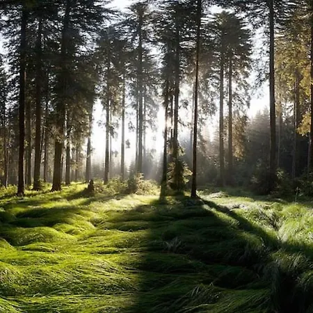 Apartma Pokljuska Idila - Idyllic Pokljuka Above Bled