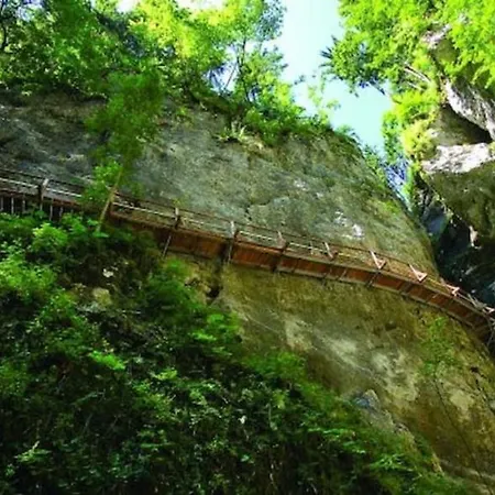 Apartma Pokljuska Idila - Idyllic Pokljuka Above *