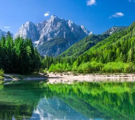 Apartma Pokljuska Idila - Idyllic Pokljuka Above