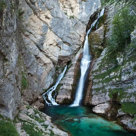 Apartamento Apartma Pokljuska Idila - Idyllic Pokljuka Above Bled