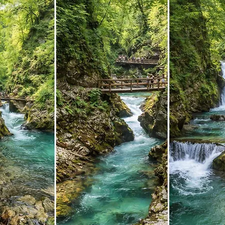 Apartma Pokljuska Idila - Idyllic Pokljuka Above Apartman Bled