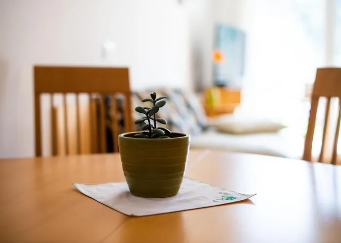 Apartma Pokljuska Idila - Idyllic Pokljuka Above * Bled
