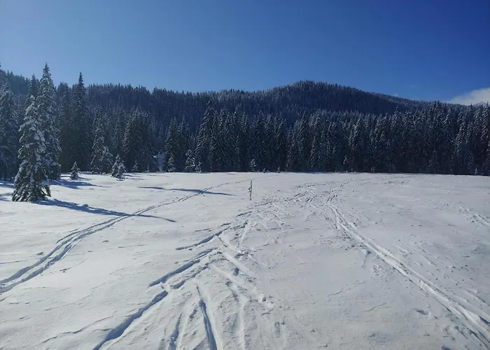 Apartma Pokljuska Idila - Idyllic Pokljuka Above Bled