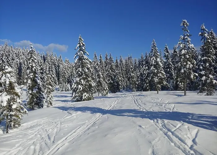 Appartement Apartma Pokljuska Idila - Idyllic Pokljuka Above Bled