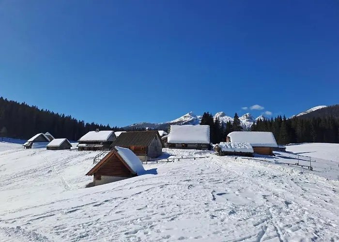 Apartma Pokljuska Idila - Idyllic Pokljuka Above Appartement