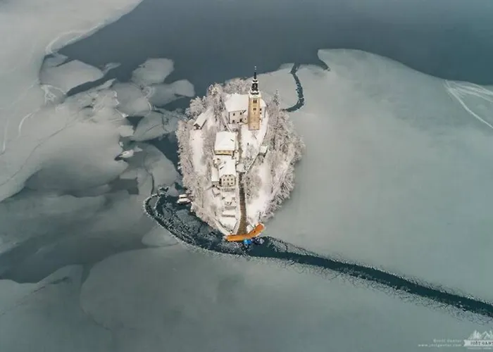 Apartma Pokljuska Idila - Idyllic Pokljuka Above