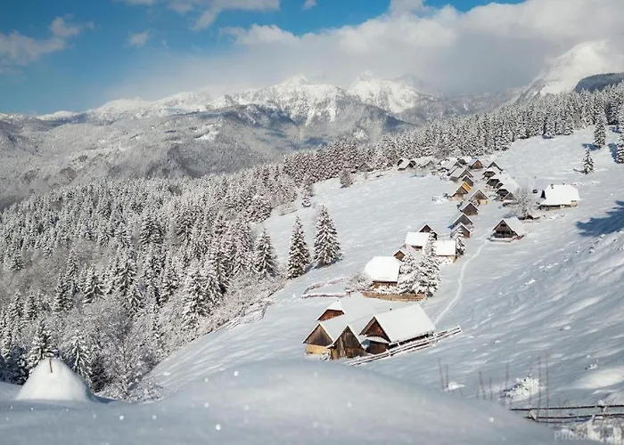 Apartma Pokljuska Idila - Idyllic Pokljuka Above Appartement
