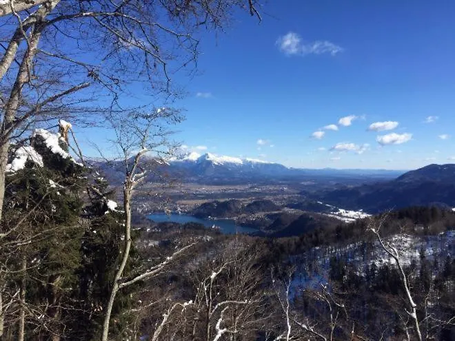 Appartement Apartma Pokljuska Idila - Idyllic Pokljuka Above *