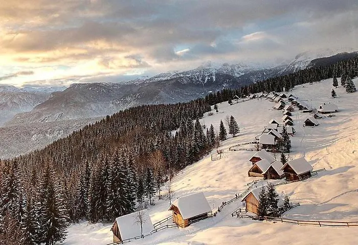 Apartma Pokljuska Idila - Idyllic Pokljuka Above Appartement *