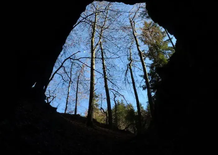 Appartement Apartma Pokljuska Idila - Idyllic Pokljuka Above