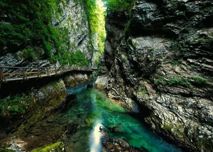 Appartement Apartma Pokljuska Idila - Idyllic Pokljuka Above *