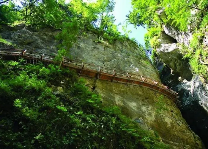 Apartma Pokljuska Idila - Idyllic Pokljuka Above *