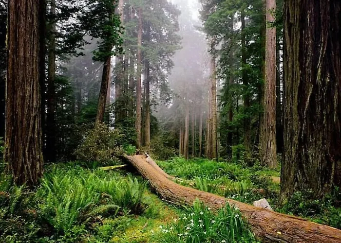 Appartement Apartma Pokljuska Idila - Idyllic Pokljuka Above