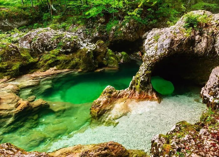 Apartma Pokljuska Idila - Idyllic Pokljuka Above * Bled