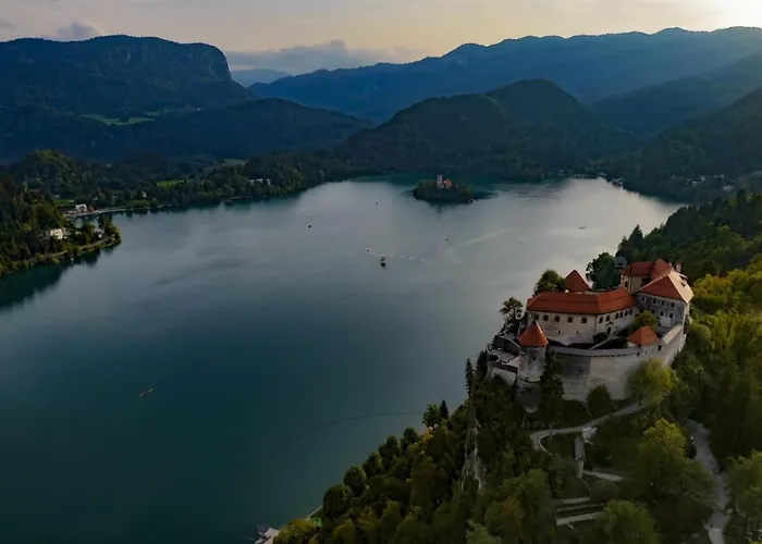 Apartma Pokljuska Idila - Idyllic Pokljuka Above