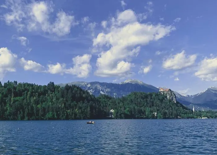 Apartma Pokljuska Idila - Idyllic Pokljuka Above Appartement