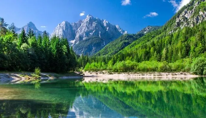 Apartma Pokljuska Idila - Idyllic Pokljuka Above